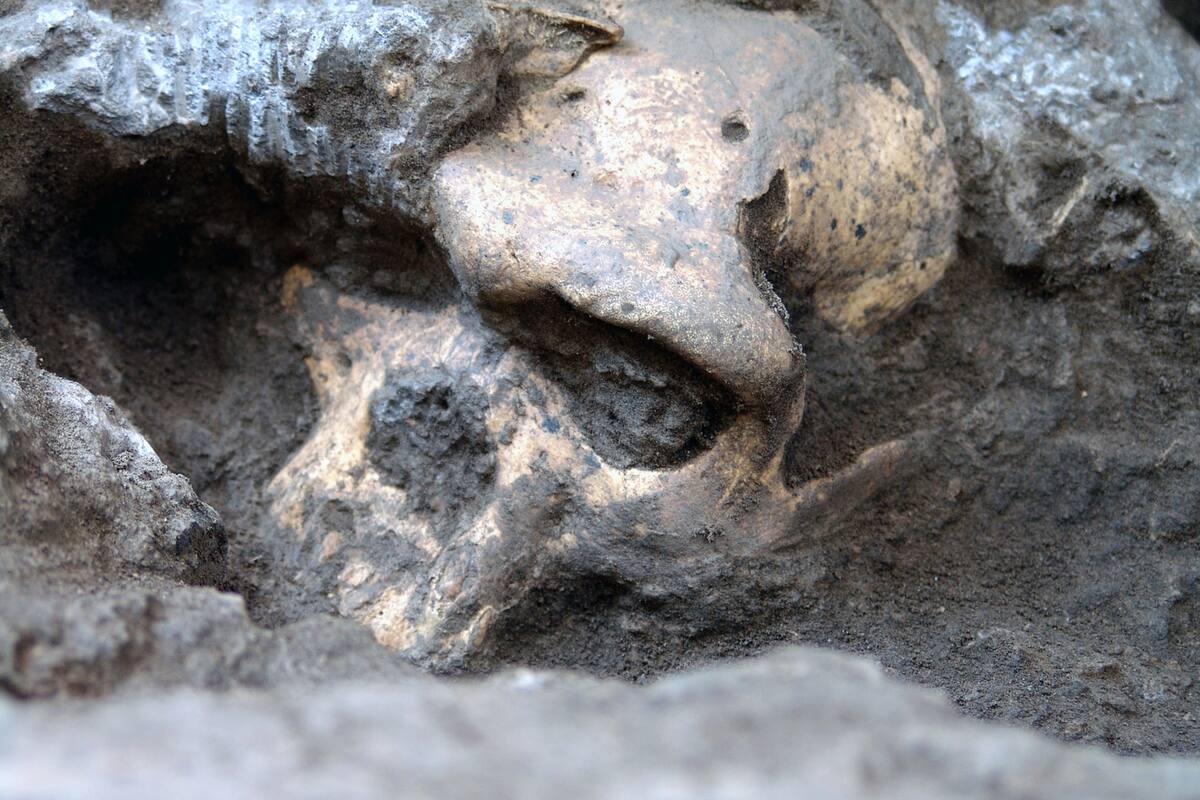 Arqueólogos localizan misterioso harén de mil 500 años de antigüedad en la tumba de un príncipe germánico