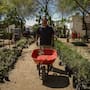 ¿Quieres ayudar a reverdecer Mexicali? Regalarán plantas nativas en jornada ambiental este sábado
