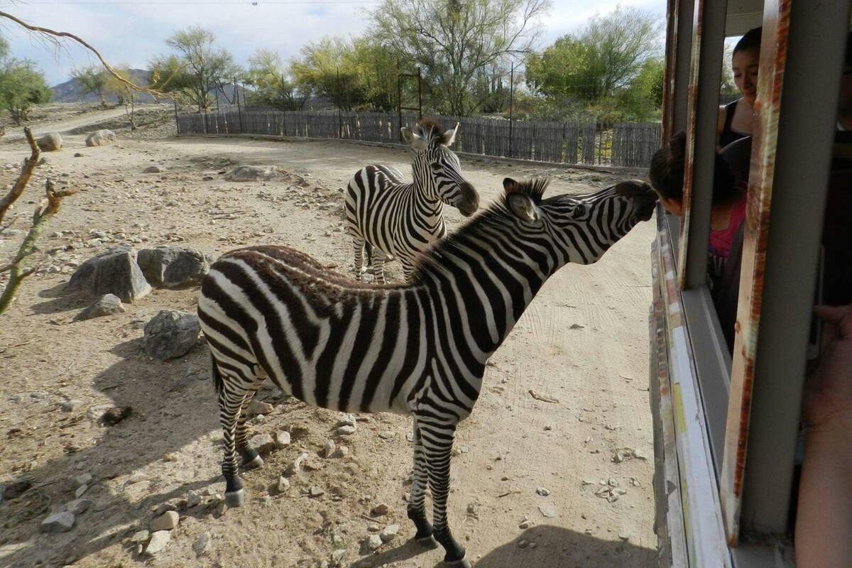 Quieren convertir el Centro Ecológico en santuario