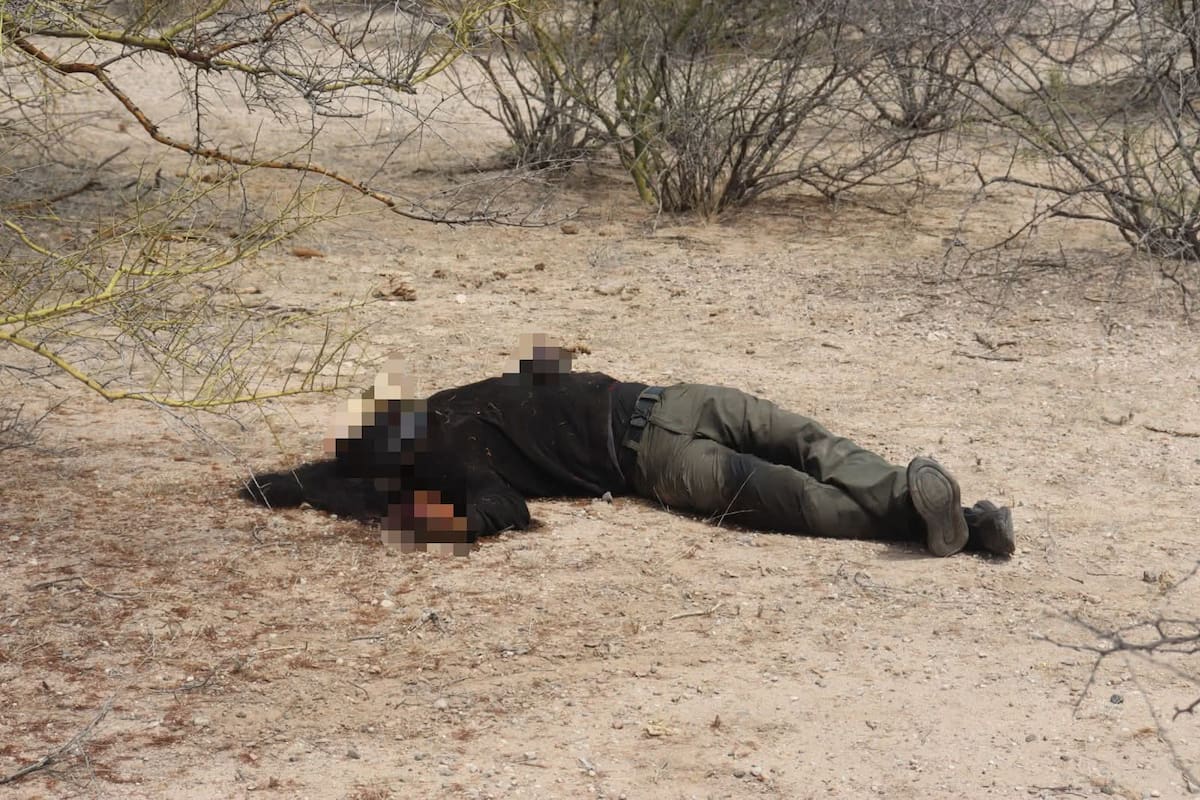 Localizan cuerpo sin vida en Mesa del Seri; colectivo Madres Buscadoras confirma identificación