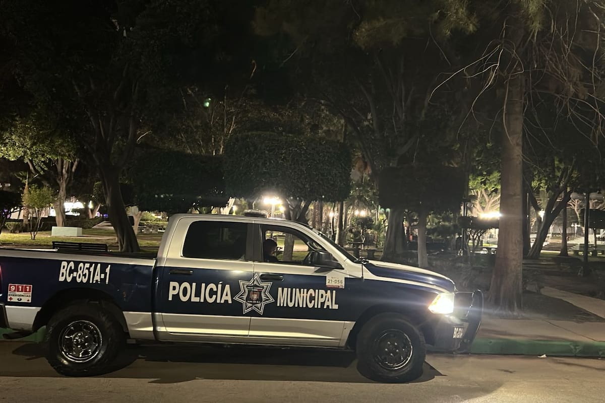 Aseguran más de 42 mil dosis de droga y más de 5 mil detenidos durante primer semestre del 2025