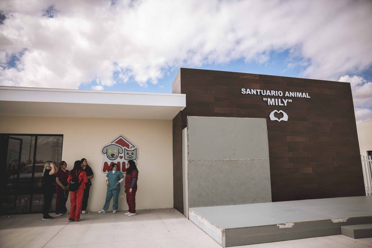 Inauguran hoy albergue “Mily” para perros