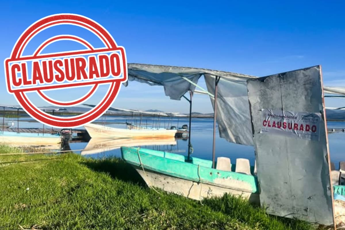 Frenan relleno ilegal en la Laguna de Tecocomulco, Hidalgo: ponen en riesgo hábitat del ajolote y aves migratorias en sitio Ramsar