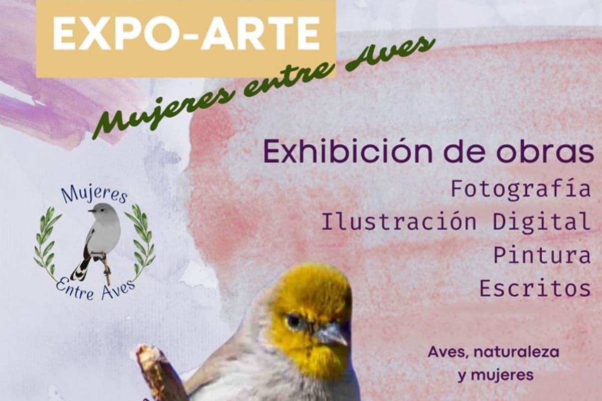 Invitan a exposición artística del colectivo “Mujeres entre Aves”: un encuentro con la naturaleza y el talento femenino