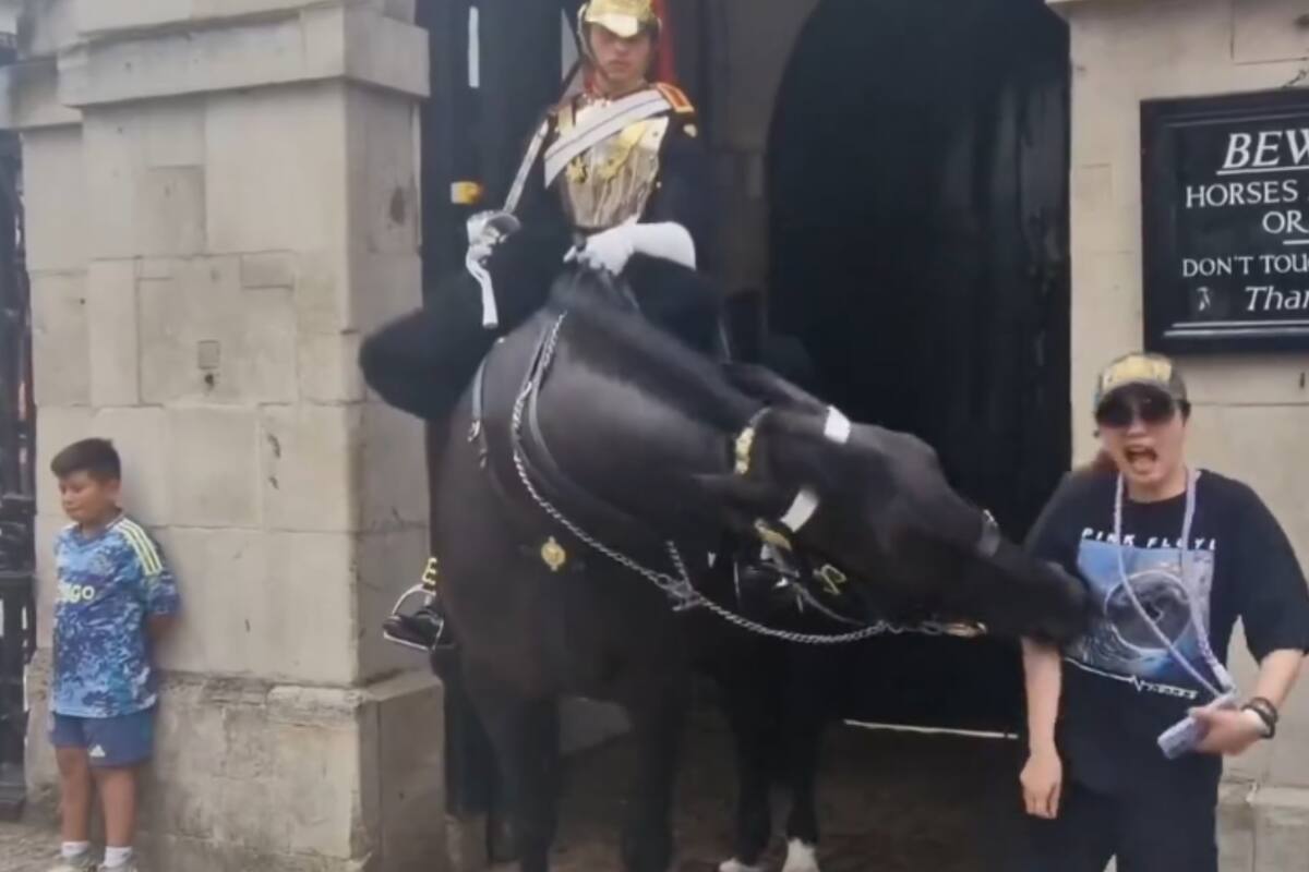 VIDEO | Turista es mordida por un caballo de la Guardia Real mientras intentaba posar para una foto