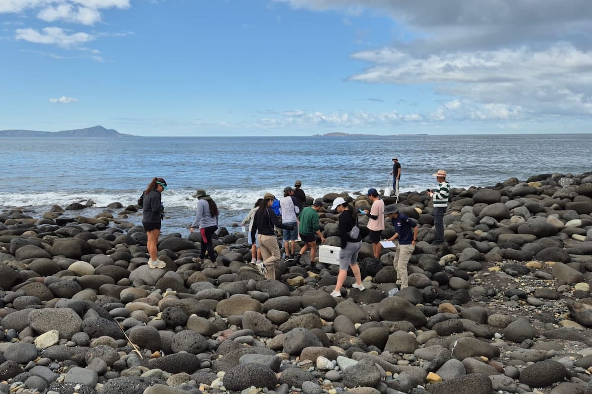 Estudiantes de Ocenología realizan monitoreo de playas desde San Miguel hasta La Joya