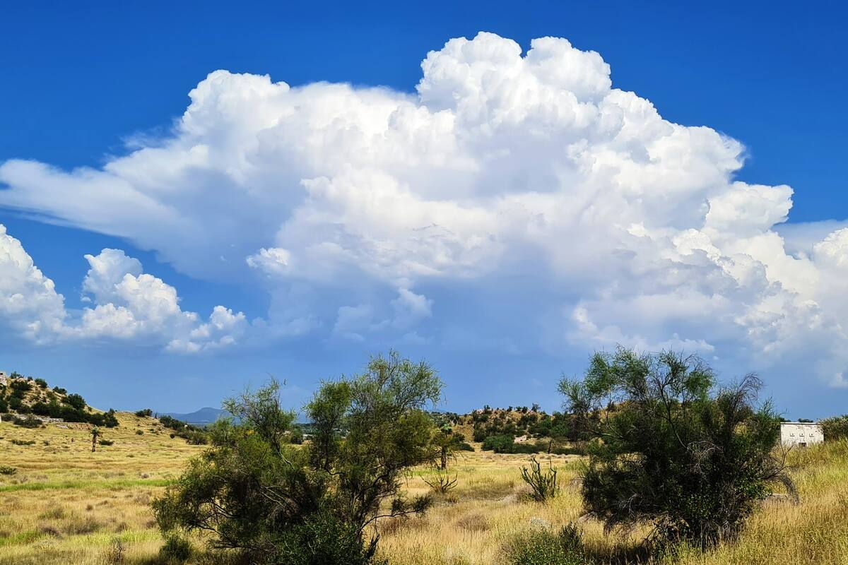 Clima en Sonora: Lluvias en el Norte y Sur aumentarán temperaturas
