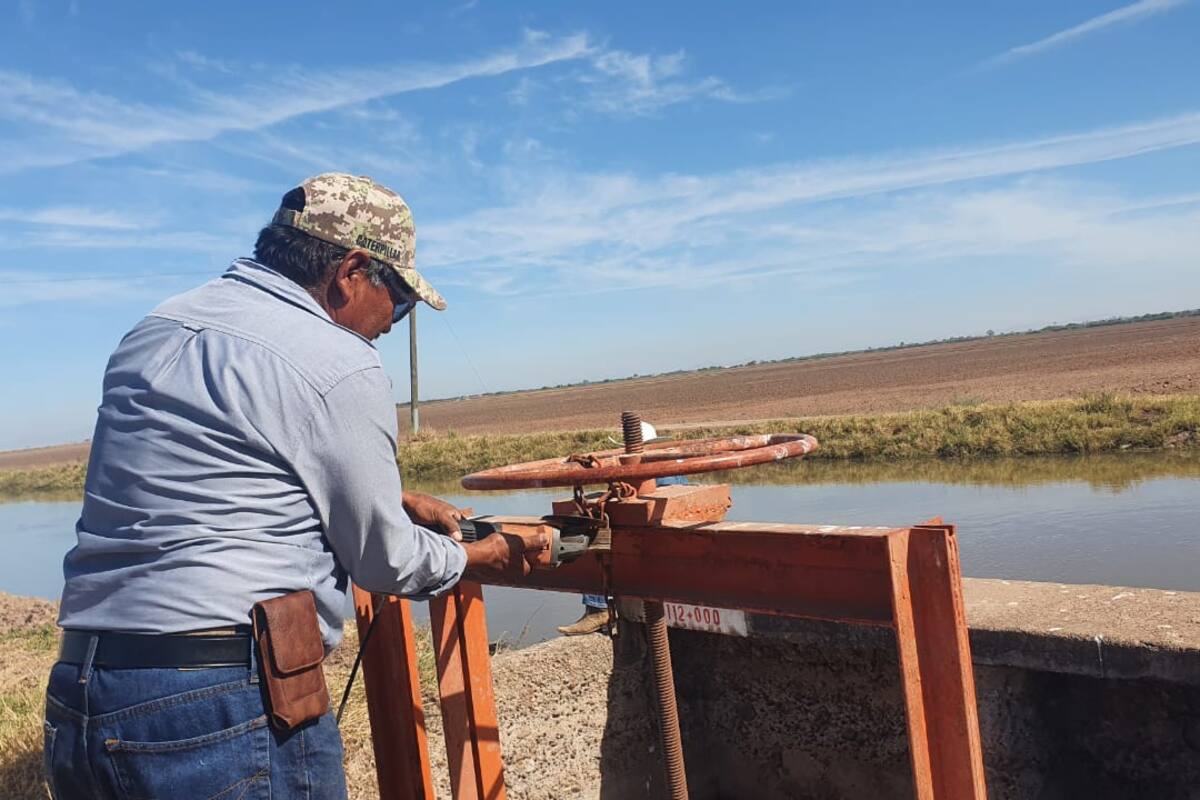 Presentan sequía 63 municipios de Sonora