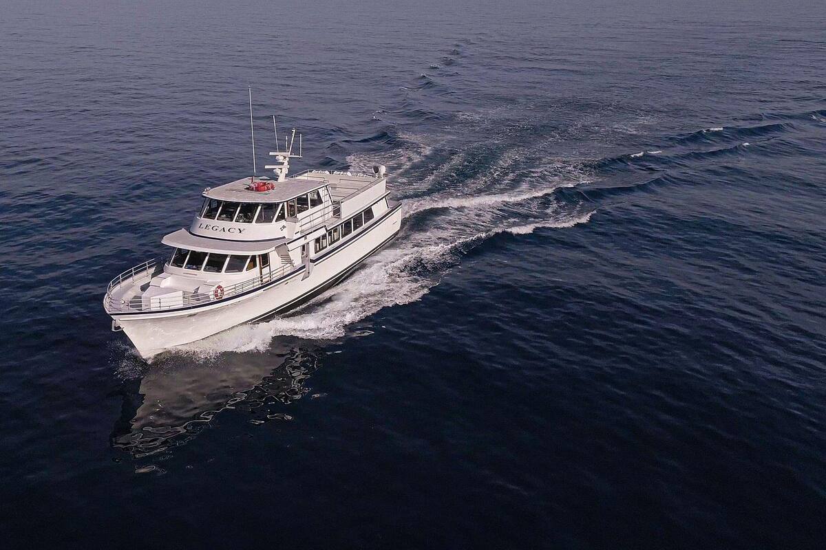 Navega y observa ballenas en San Diego en recorrido de tres horas