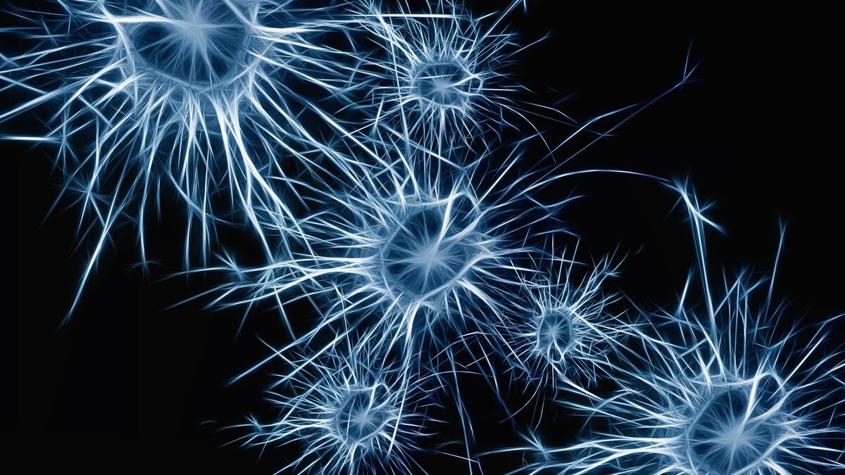 Estudio revela que la enfermedad de Parkinson podría darse antes de nacer