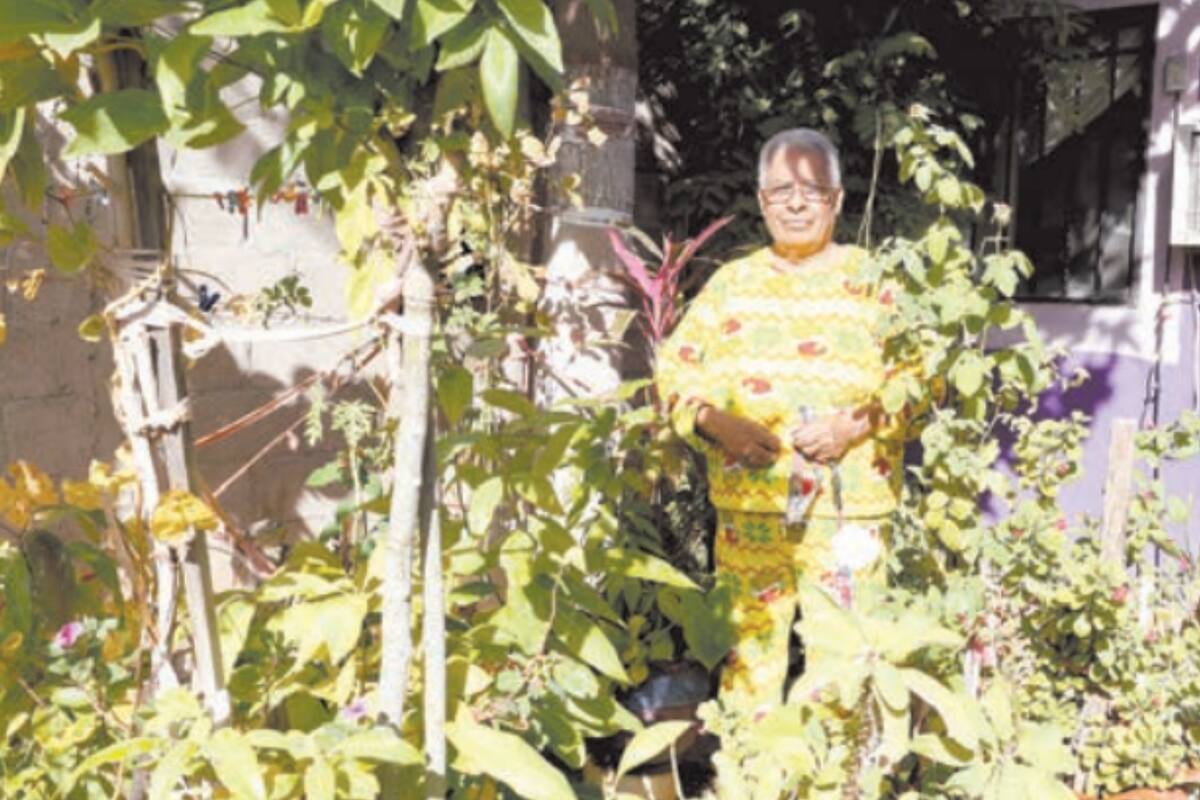 Comparte el poder curativo de su jardín