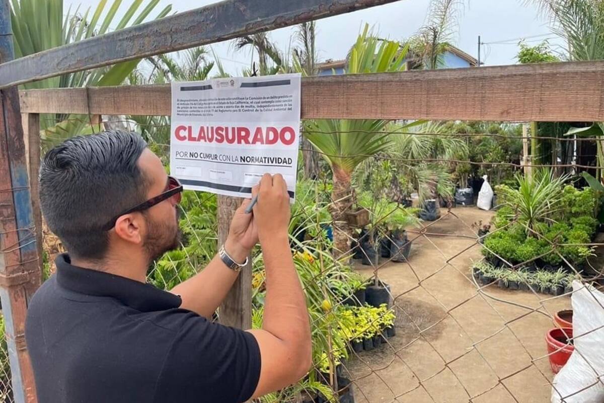 Clausuran predios en El Sauzal que bloqueaban acceso a la playa