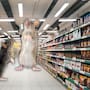 Cierran famoso supermercado por tener una invasión de ratas; autoridades detectan riesgo sanitario