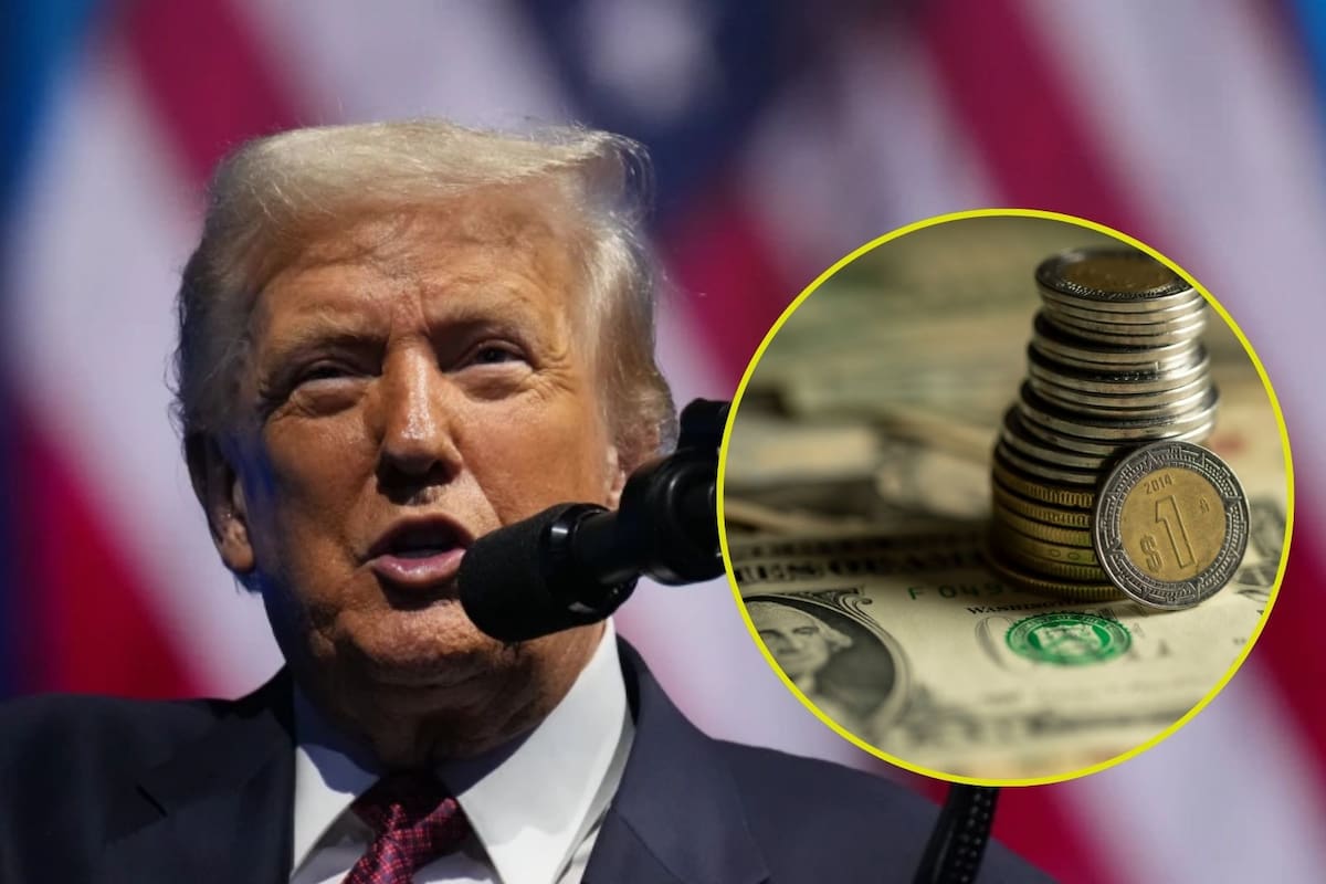 Precio del dólar cayó ante el peso mexicano y así cotiza este domingo 9 de noviembre