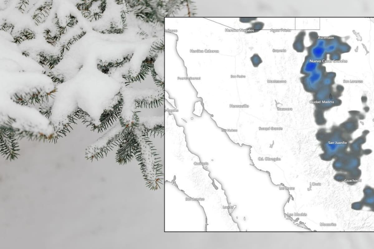 Frente frío 17 podría dejar la primera nevada en municipios del Oriente de Sonora el próximo 5 de diciembre