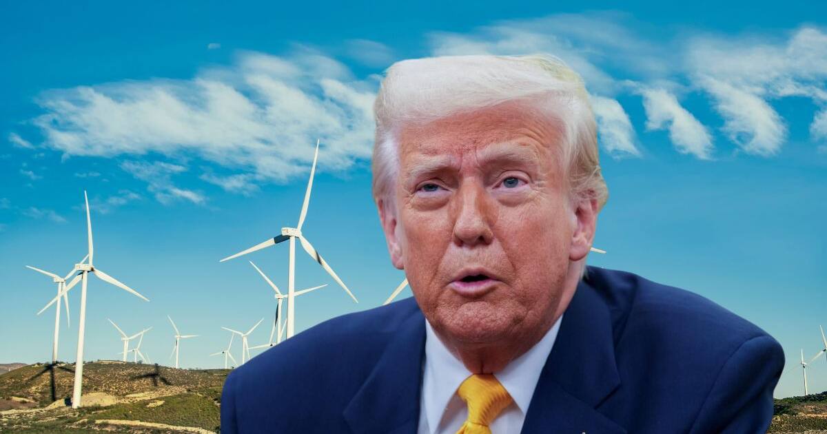 Impulso a la Energía Eólica en Argentina y el Mundo: Fiscales Desafían la Decisión de Trump que Frena Proyectos en EE.UU.