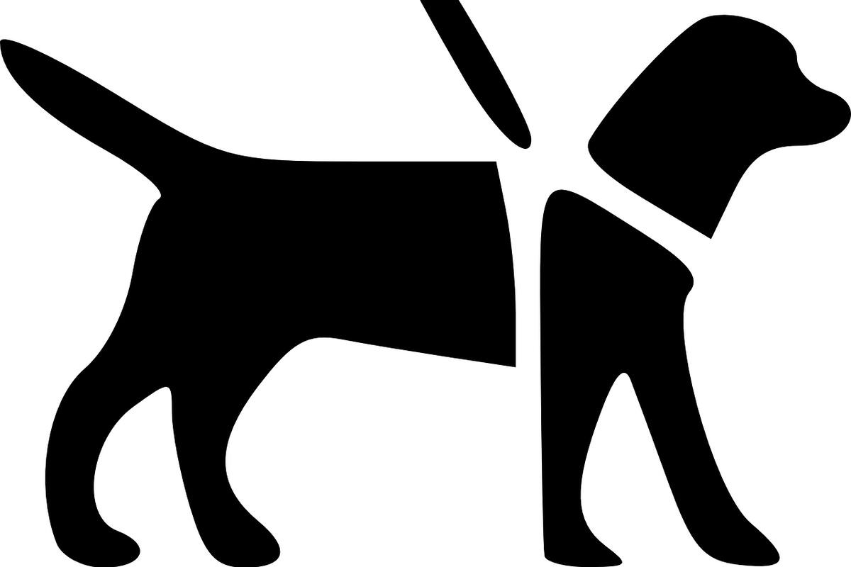 ¿Cuál es la labor que cumplen los perros de servicio?