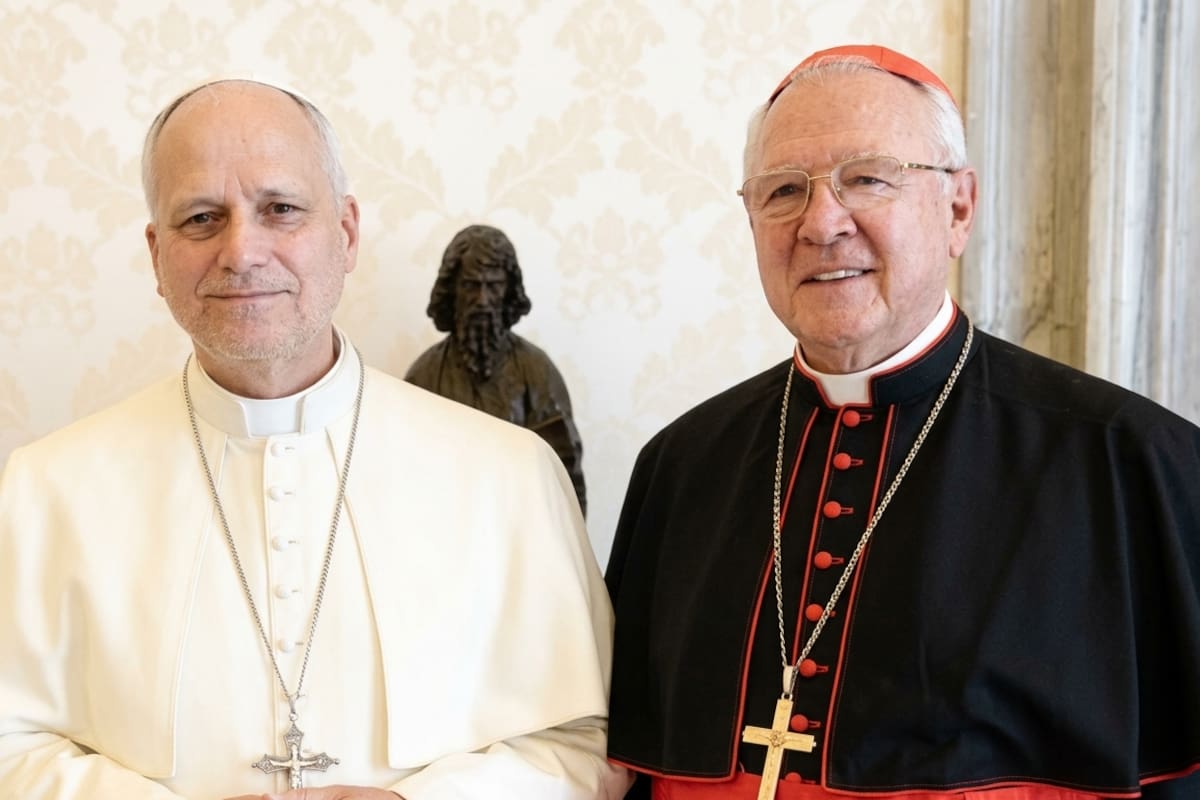 Recibe papa León al cardenal Robles