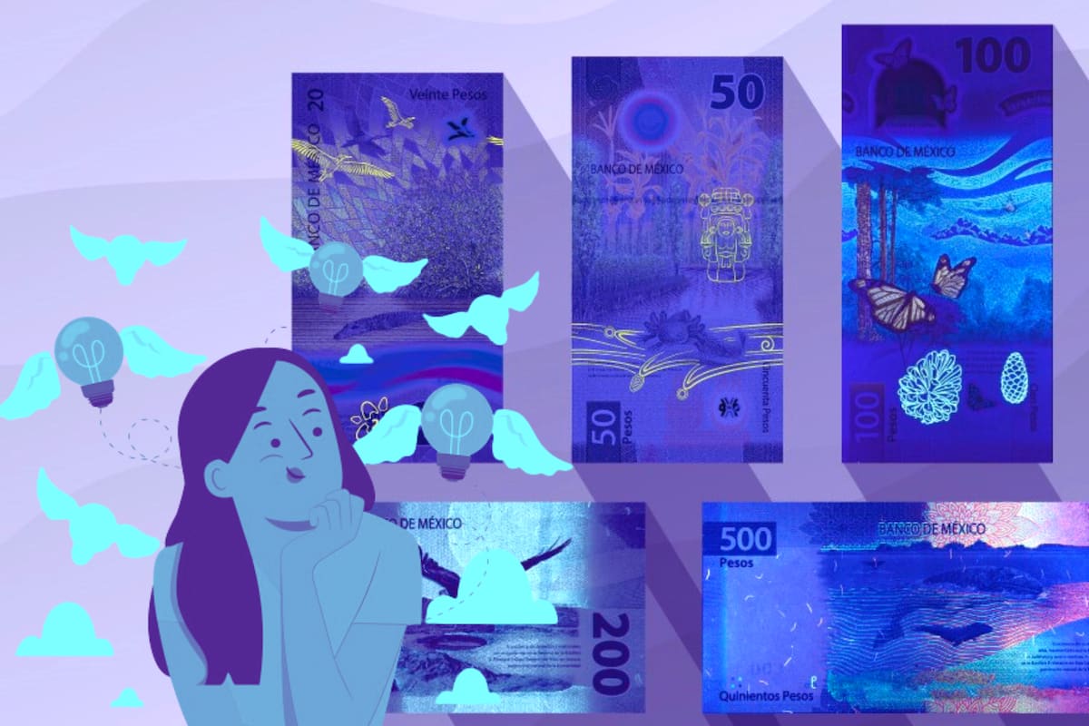 Banco de México: ¿Sabías que algunos elementos del reverso de los billetes brillan bajo la luz ultravioleta como medida de seguridad?