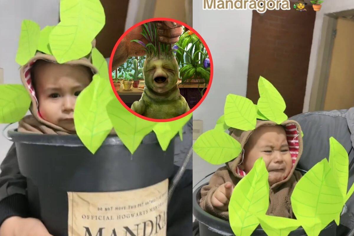 Por Halloween, esta madre disfrazó a su bebé de mandrágora de “Harry Potter”