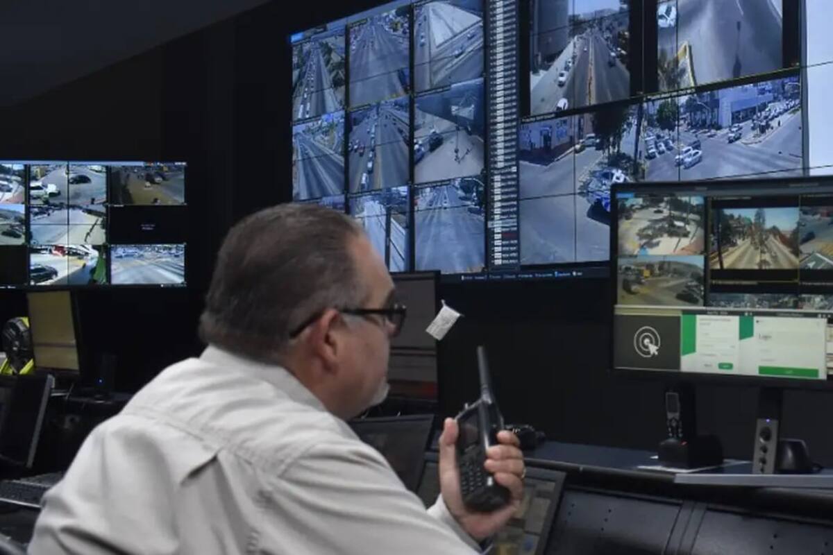 Descargan 105 mil Botón Morado en Tijuana