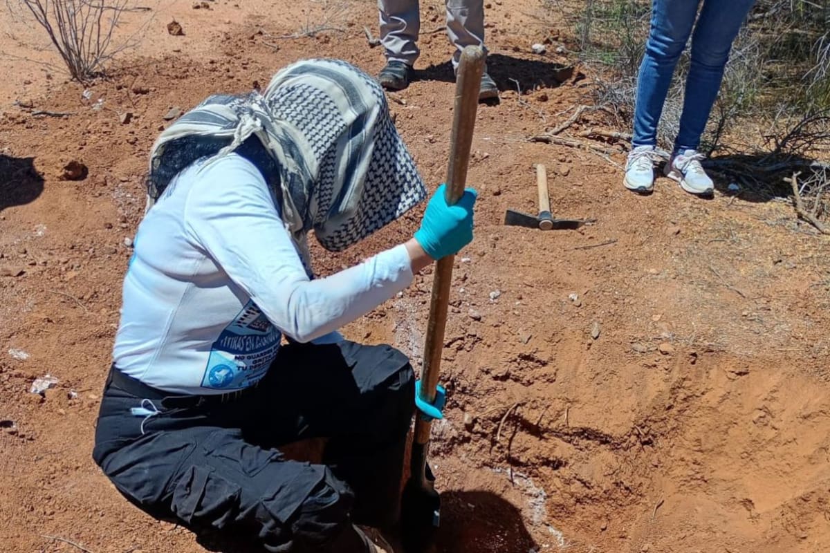 Localizan restos humanos en Benjamín Hill durante búsqueda coordinada por Buscadoras por la Paz Sonora