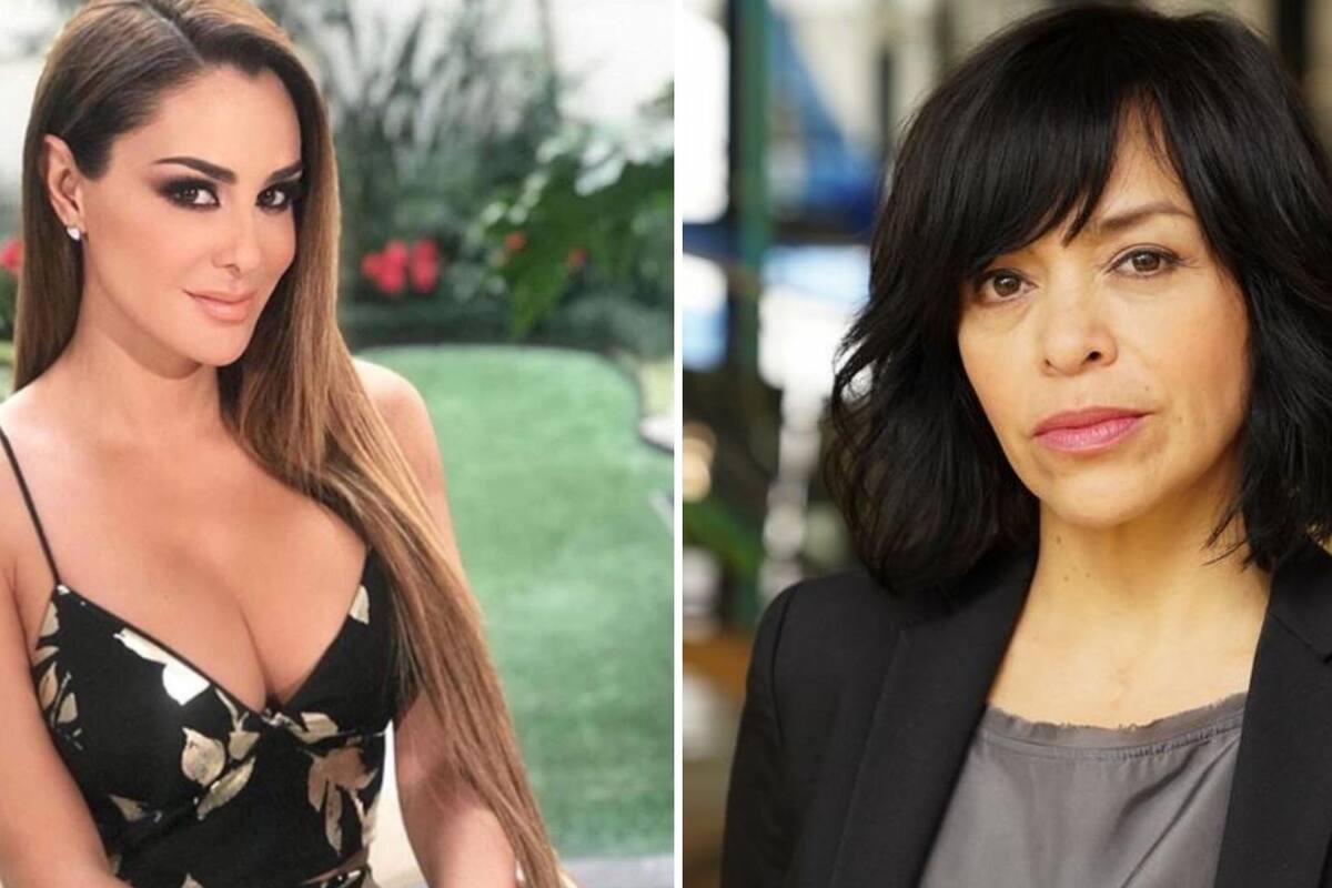 Anabel Hernández asegura que Ninel Conde tiene una investigación criminal en su contra