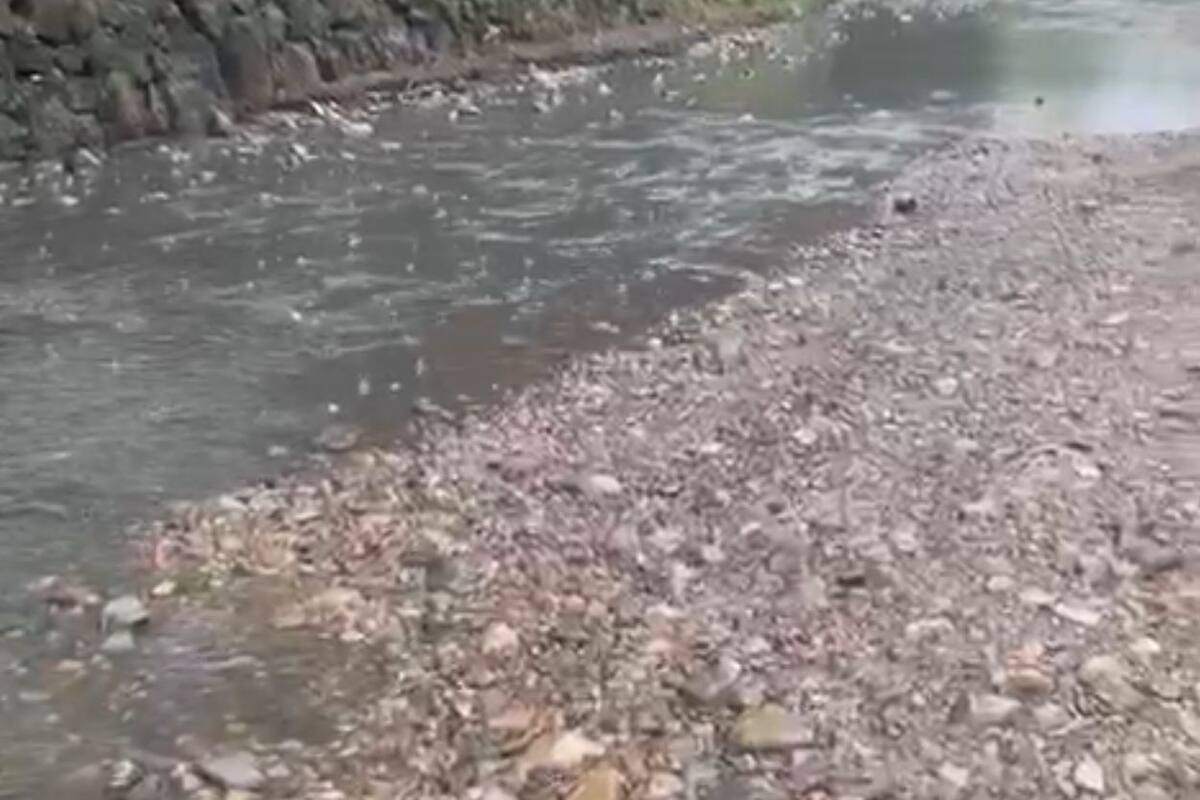 Continúa contaminación por derrames de aguas negras en el Cañón Rosarito