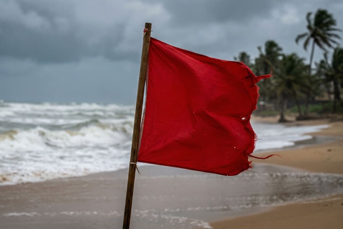 ¿Vas a Puerto Vallarta este fin de semana? Estas son las 4 playas con prohibición total de ingreso al mar y los puntos donde se ha detectado fauna silvestre peligrosa para los bañistas