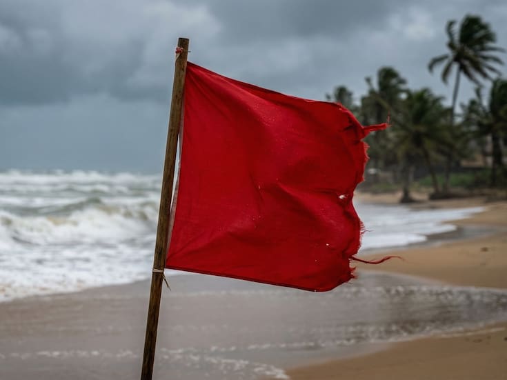 ¿Vas a Puerto Vallarta este fin de semana? Estas son las 4 playas con prohibición total de ingreso al mar y los puntos donde se ha detectado fauna silvestre peligrosa para los bañistas