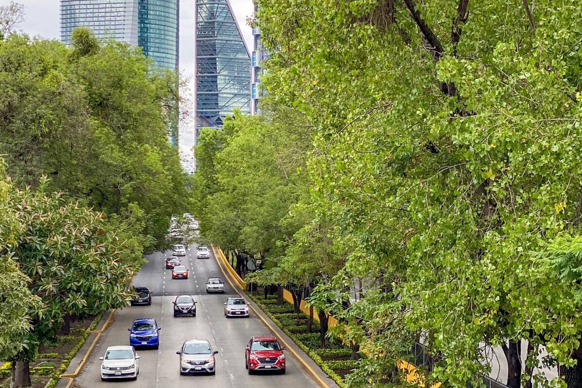 Hoy No Circula CDMX y Edomex: restricciones para este lunes 8 de enero de 2024