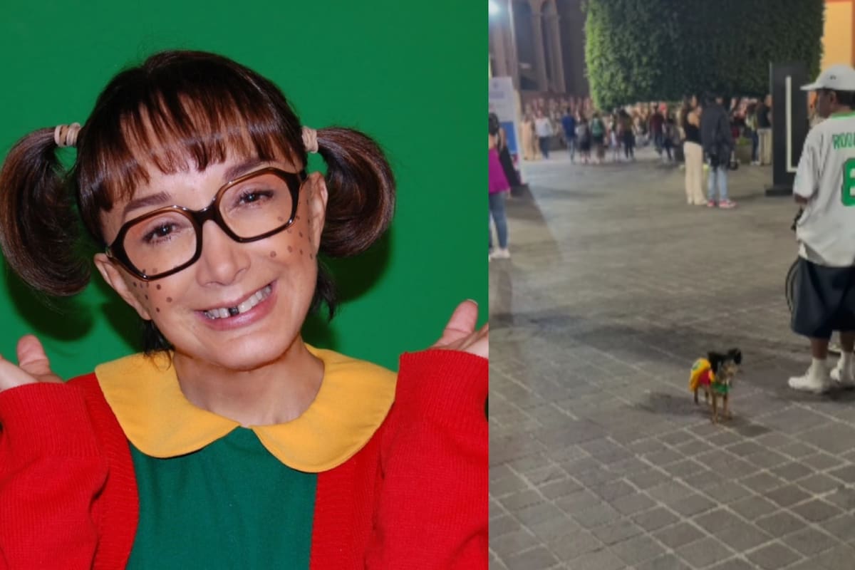 Con peluca incluida: Chihuahua disfrazada de la Chilindrina conquista a las redes sociales