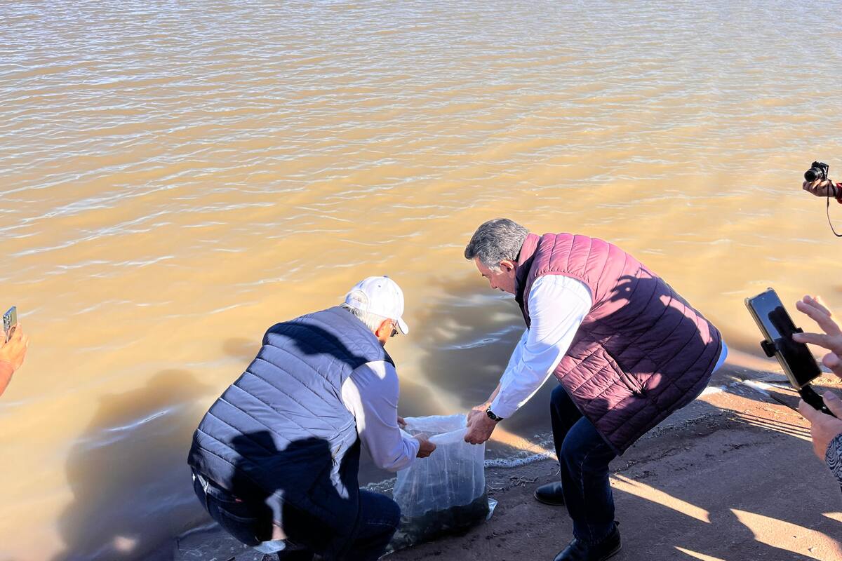 Repueblan de peces Laguna del Náinari de Ciudad Obregón