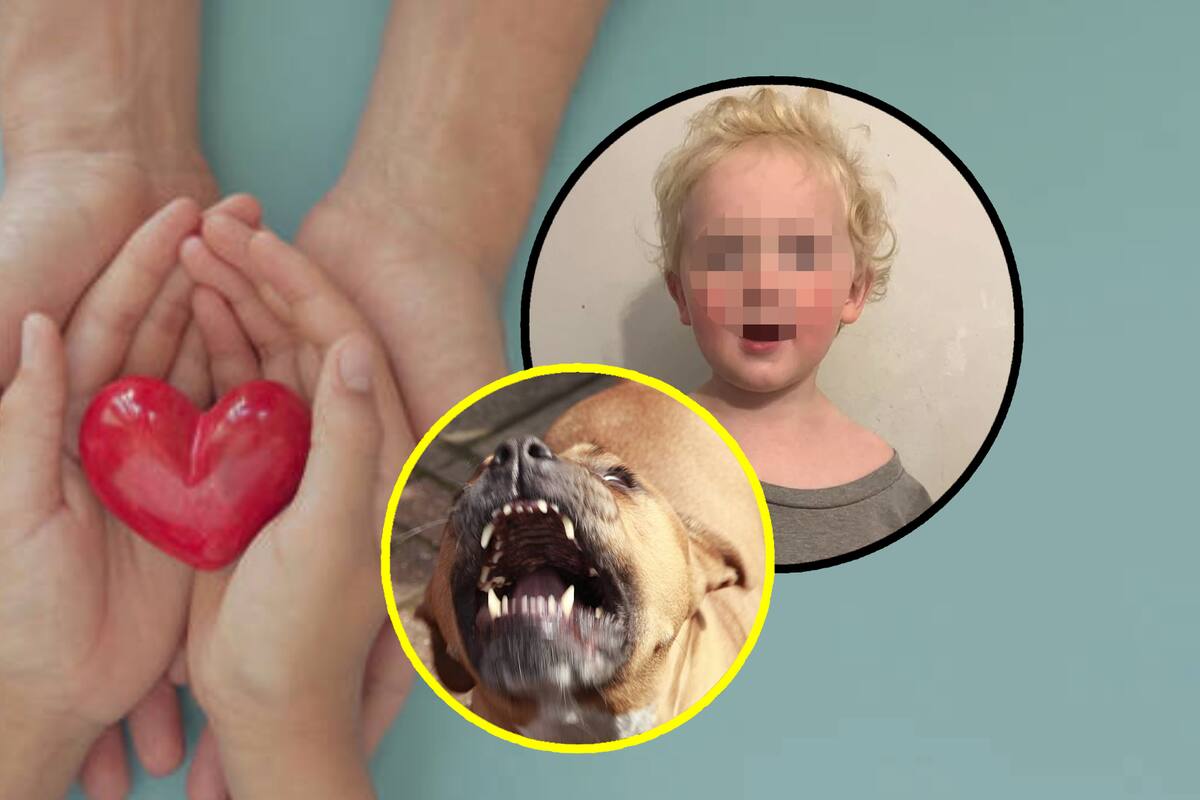 Muere niño de 3 años atacado por pitbulls en Minnesota; dona su corazón para salvar a una bebé de 1 año