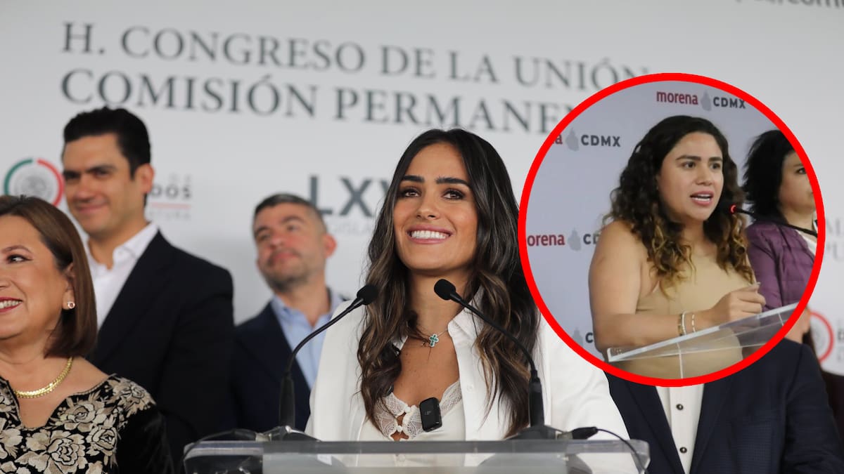 Alessandra Rojo de la Vega: Las razones por las que se anuló la polémica elección en la alcaldía Cuauhtémoc y la multa para la que había ganado