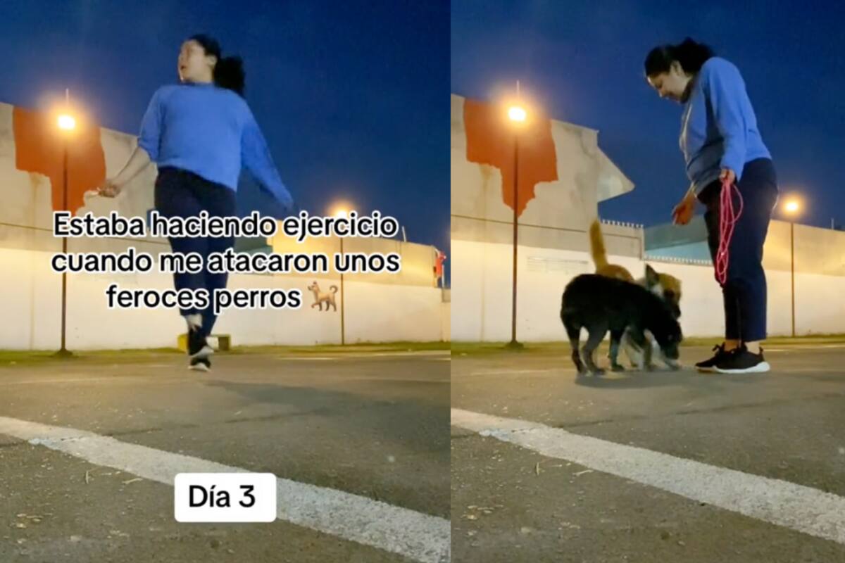 Mujer casi es atacada por un par de perros en un parque: así controló la situación (VIRAL)