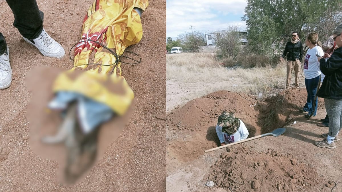 En pleno Día Internacional de la Mujer, Madres Buscadoras de Sonora recibieron una llamada anónima que las llevó a excavar una presunta fosa clandestina; lo que encontraron fue un cerdo envuelto en una cobija, hecho que desató reclamos por jugar con el dolor de familias de desaparecidos