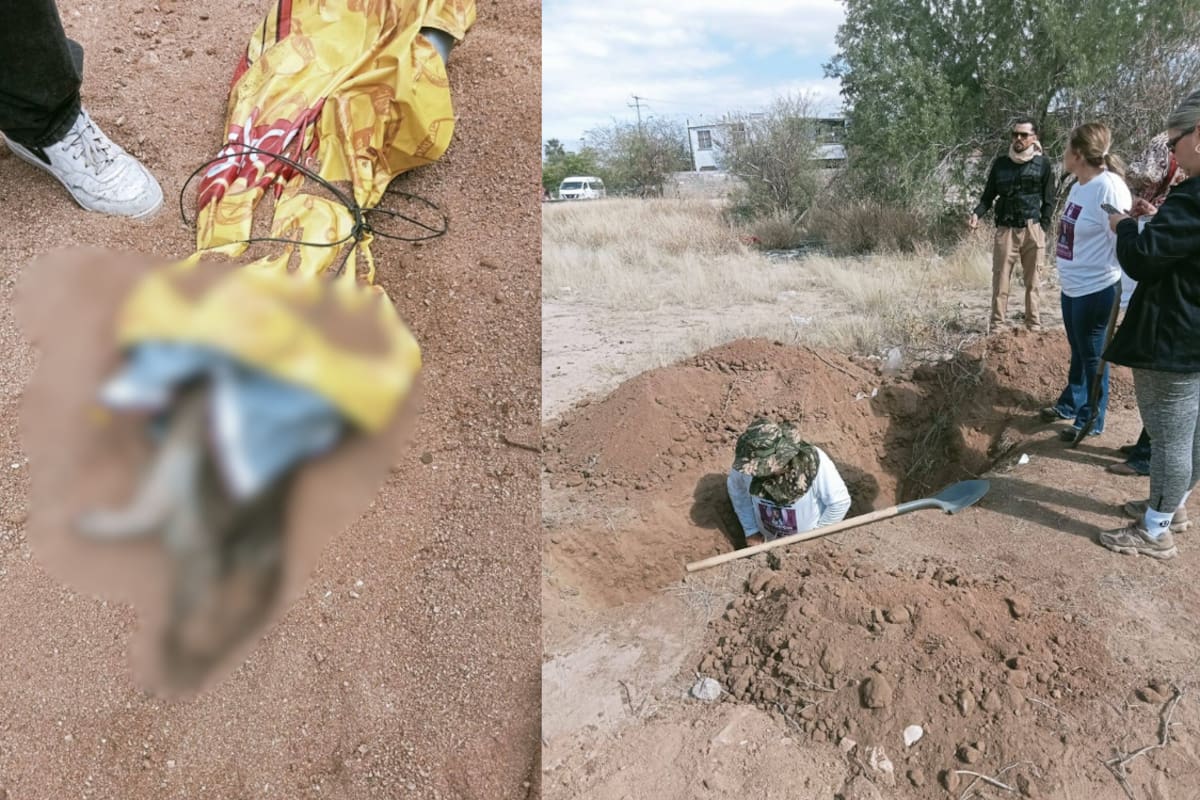 En pleno Día Internacional de la Mujer, Madres Buscadoras de Sonora recibieron una llamada anónima que las llevó a excavar una presunta fosa clandestina; lo que encontraron fue un cerdo envuelto en una cobija, hecho que desató reclamos por jugar con el dolor de familias de desaparecidos