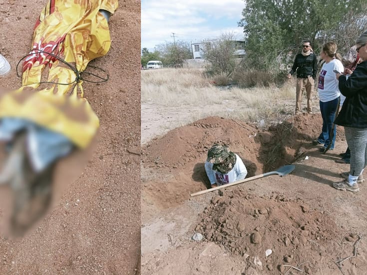 En pleno Día Internacional de la Mujer, Madres Buscadoras de Sonora recibieron una llamada anónima que las llevó a excavar una presunta fosa clandestina; lo que encontraron fue un cerdo envuelto en una cobija, hecho que desató reclamos por jugar con el dolor de familias de desaparecidos