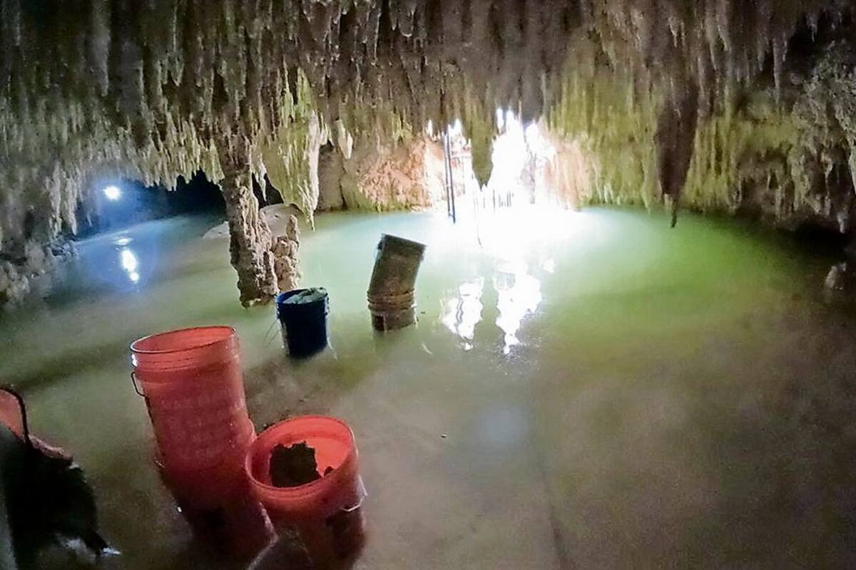 Tren Maya: Profepa confirma severos daños a cavernas en Tramo 5 Sur, publica El Universal