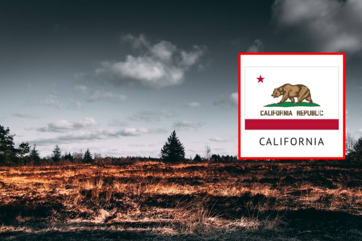 California enfrenta múltiples incendios y una ola de calor récord
