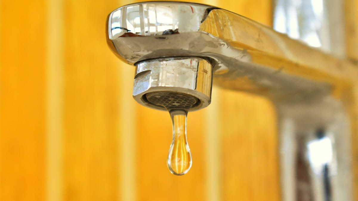 El riesgo, explicó, no se limita a tomar el agua directamente. También puede haber exposición al lavar frutas, verduras o utensilios, así como al cepillarse los dientes con agua de la red. Foto: Canva