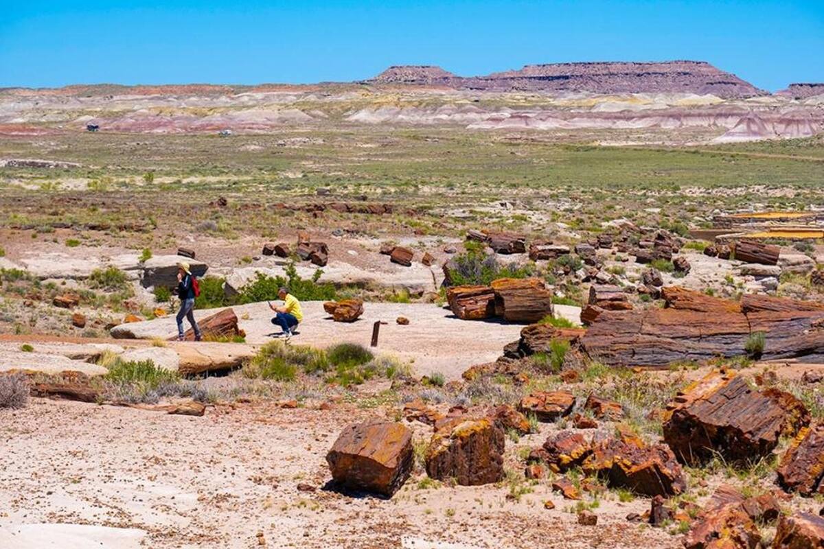 Maravillosas caminatas fáciles en el estado del Gran Cañón
