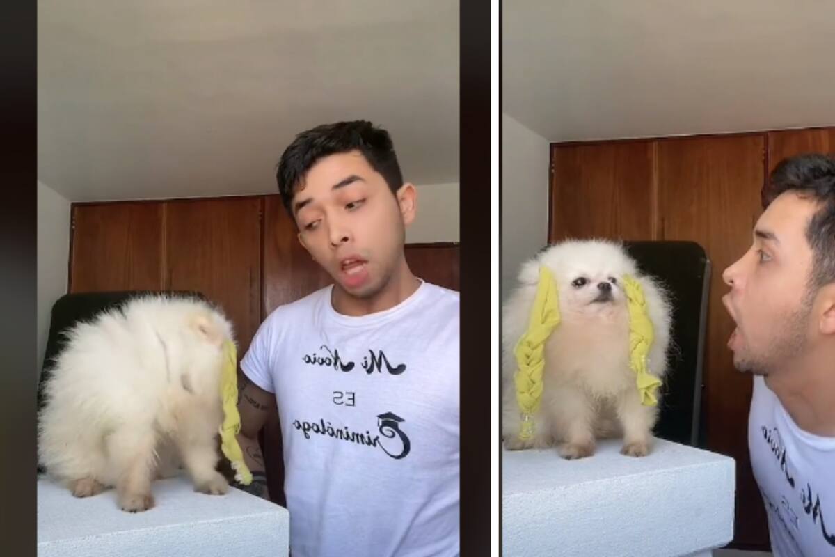 VIDEO: Tiktoker recrea escenas de películas junto a su perrito y es sensación en redes