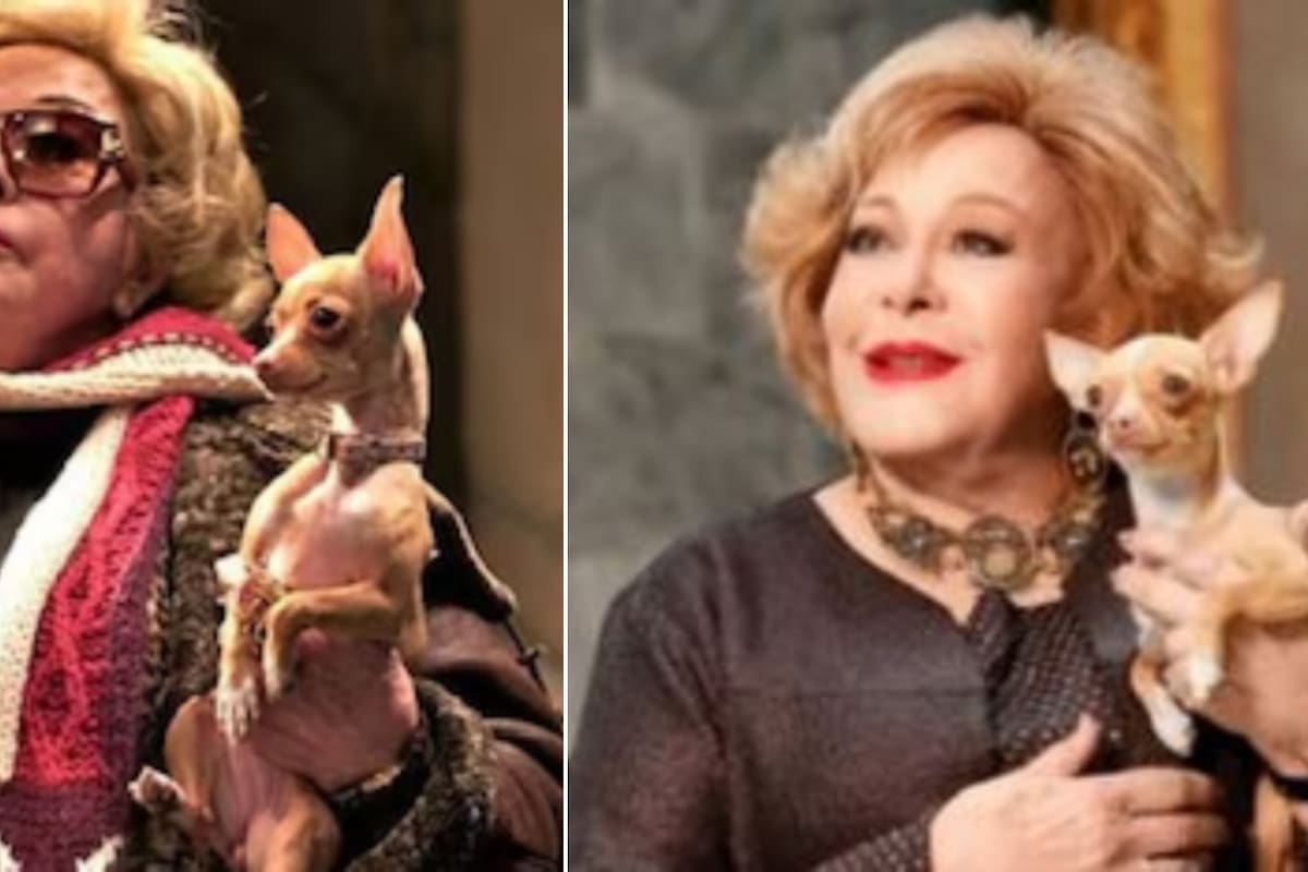 Silvia Pinal habría dejado parte de su herencia para su perrita