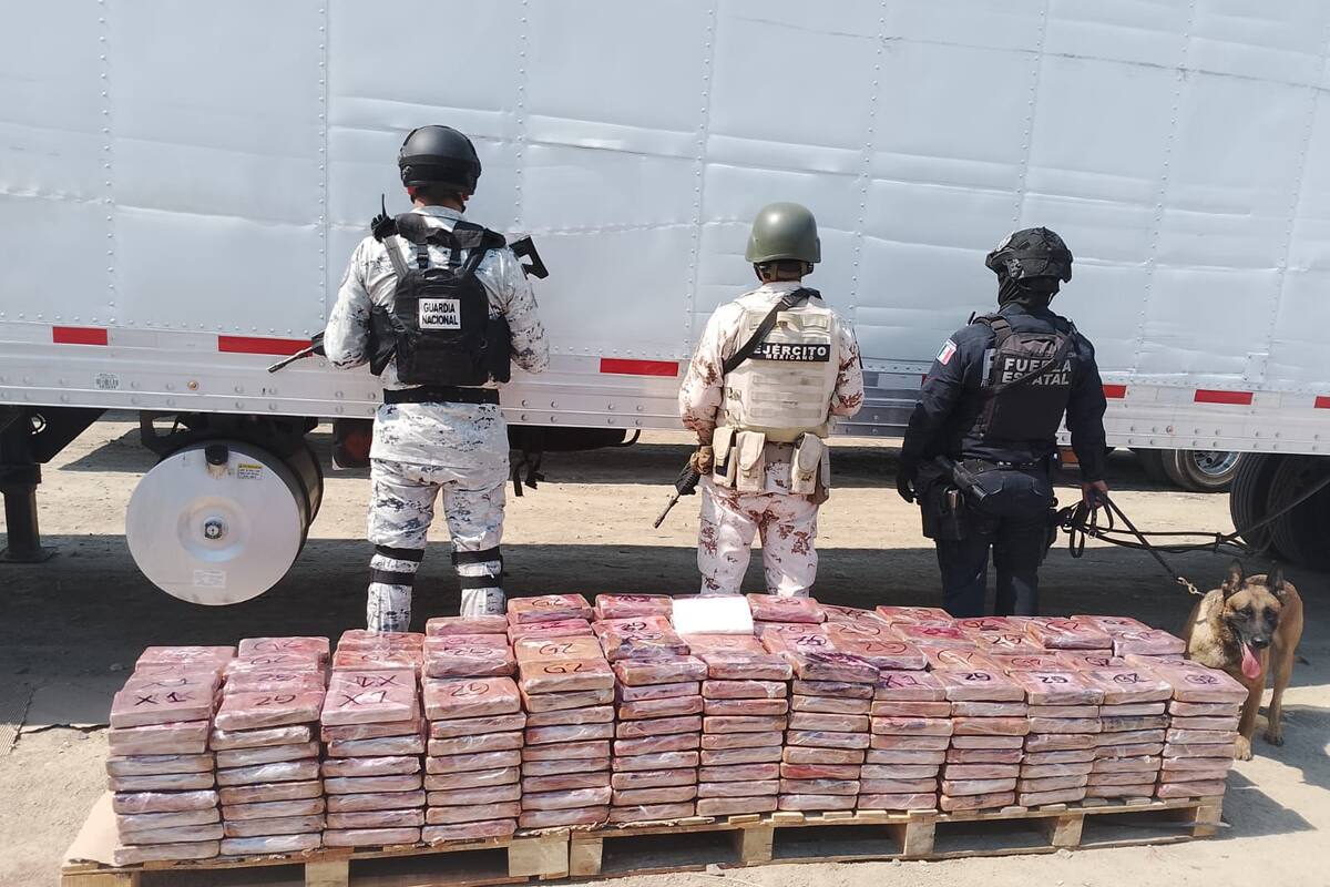 Aseguran 455 kilos de cocaína en colonia Aeropuerto