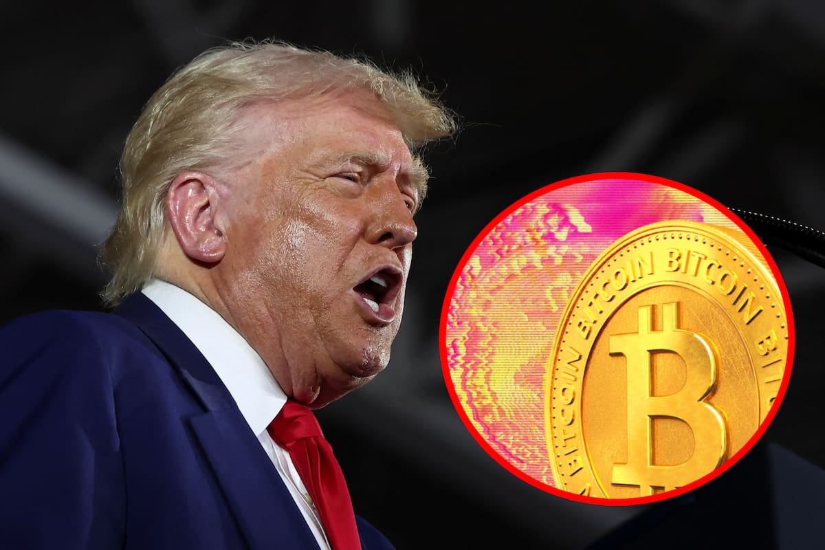 Han perdido dinero 764,000 personas con la moneda meme de Trump, según datos