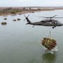 Miles de árboles de Navidad fueron arrojados al océano y después de 30 años, ayudaron a recuperar costas afectadas por la erosión y el avance del nivel del mar provocado por el cambio climático