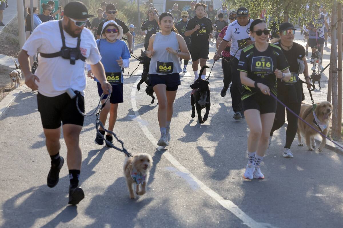Más de 300 personas participaron junto a sus mascotas en la primera edición de la "Lomitos Run 2026", una carrera con causa realizada en el Parque Esperanto.
Fotos: Cortesía.