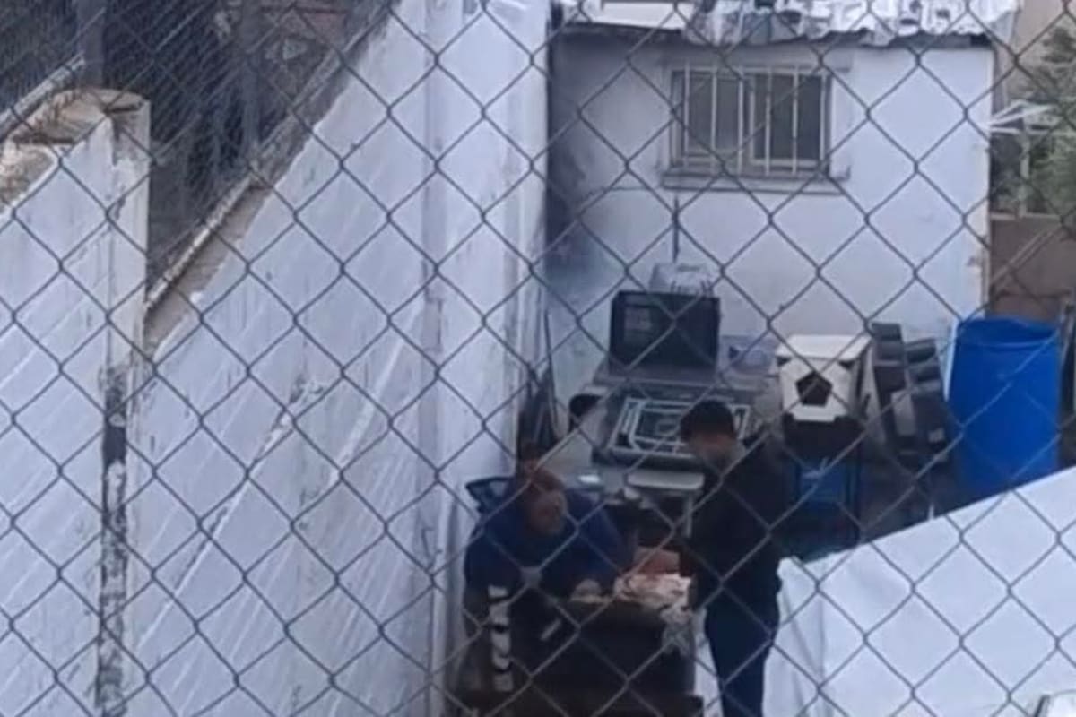 Medico veterinario es detenida por presunto maltrato animal